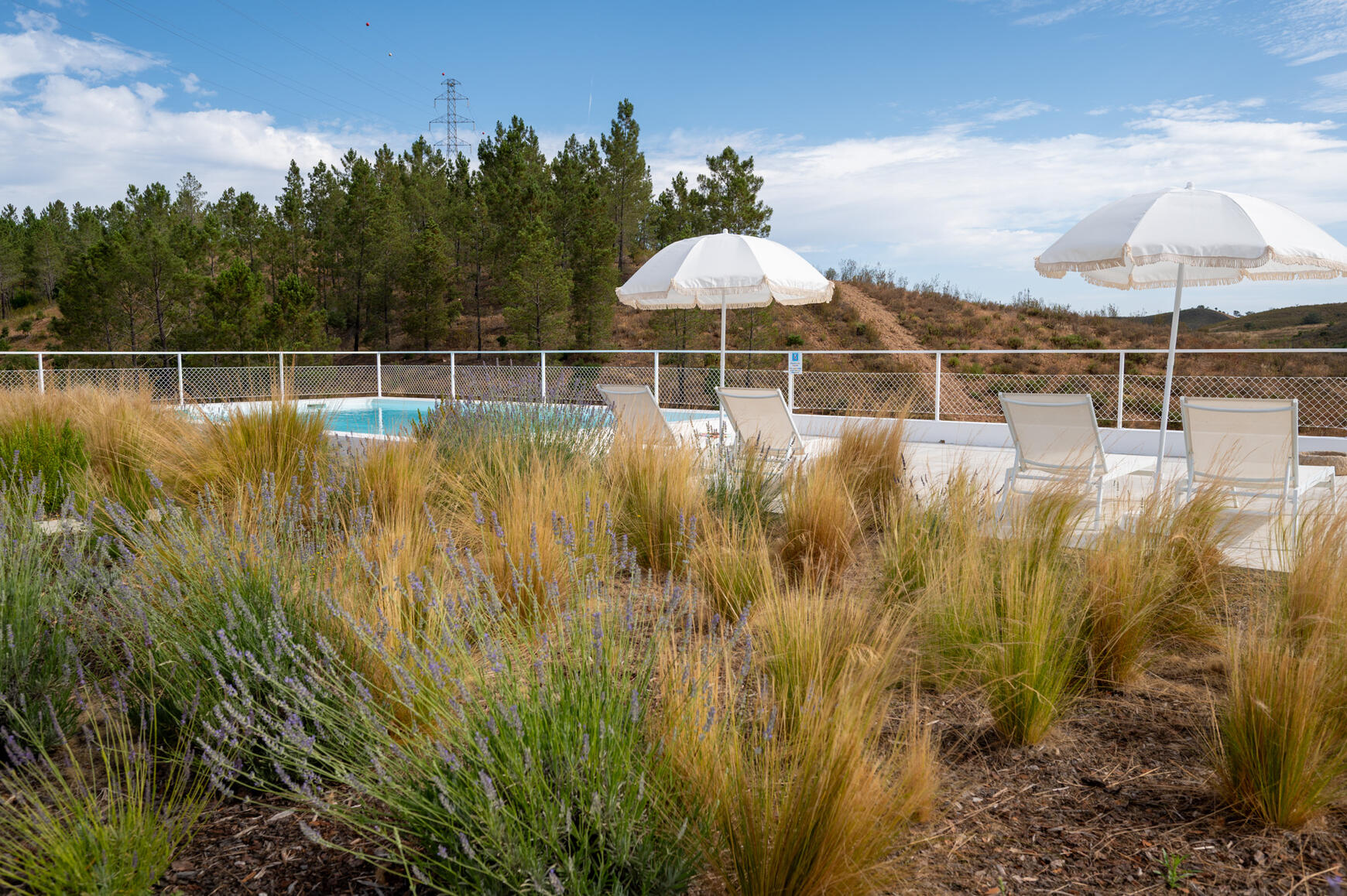 Piscina com vista sobre o campo no Monte de Torquines Piscina exterior do Monte de Torquines com vista para a paisagem tranquila do Alentejo